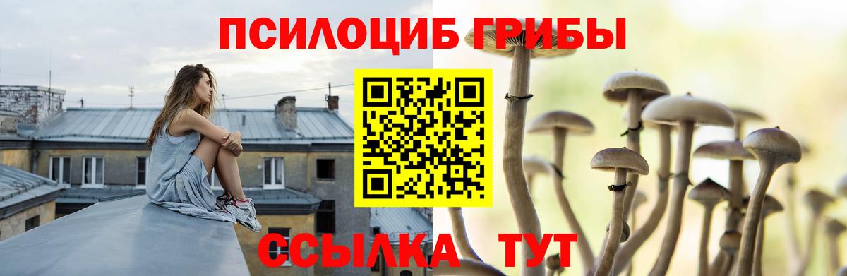 Галлюциногенные грибы Magic Shrooms  даркнет сайт  Ялуторовск  Вход с VPN 